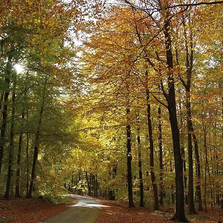 Penthouse Lebierre Penzion