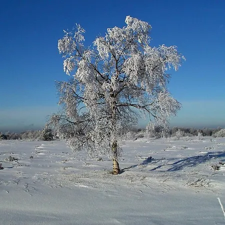 Penthouse Lebierre 4* Malmedy