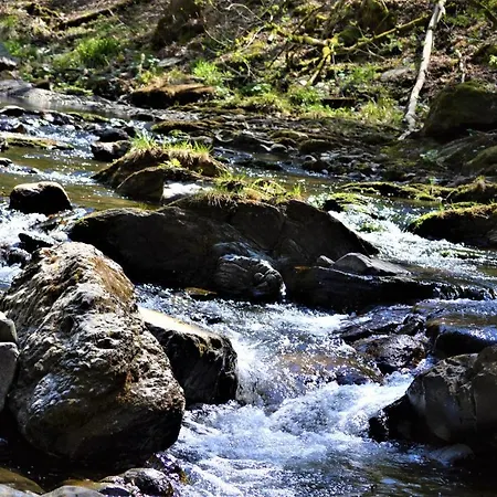 Penthouse Lebierre Penzion