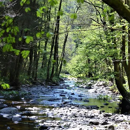 Penthouse Lebierre Malmedy