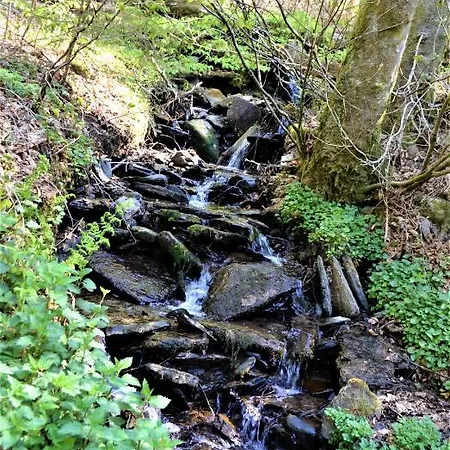 Penthouse Lebierre Penzion Malmedy