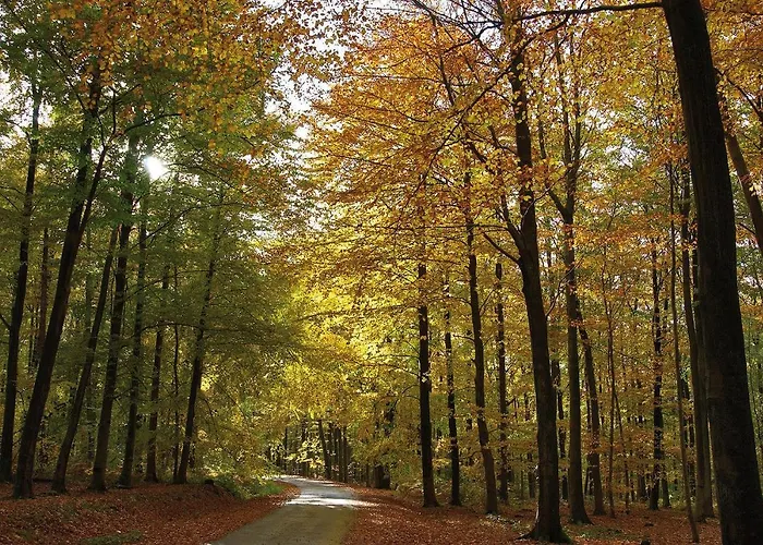 Penthouse Lebierre Pensjonat