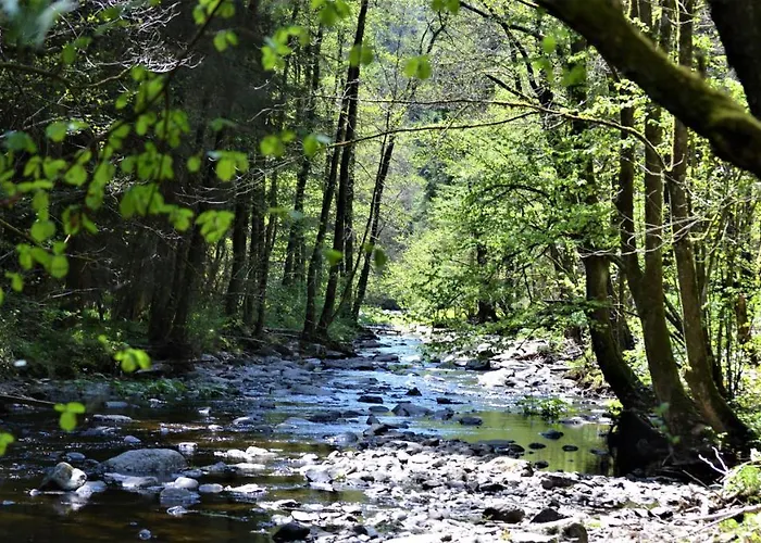 Penthouse Lebierre Malmedy