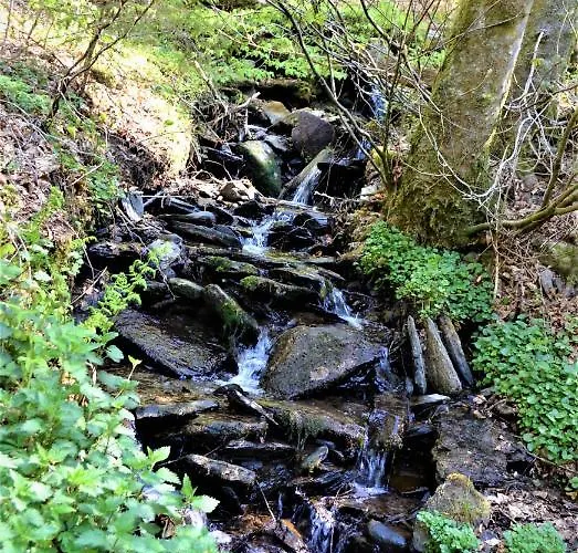 Penthouse Lebierre Pensjonat Malmedy